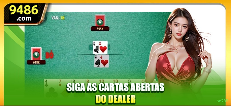 Suporte br788